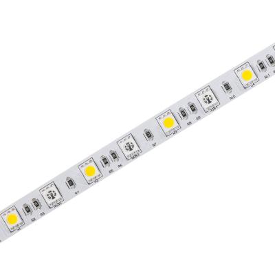 China Warehouse 5050 Rgbw Led Strip 24V Smd Flexible Led Strip 12Mm 5M Rgbw Flexible Led 60Leds/M Strip Smd Led Strip Light Led Strip Rgbw Light for sale