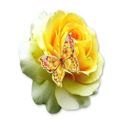 China CLASSIC Interesting Wholesale DIY 5D Diamond Painting By Full Digital Kit Diamond Painting Flower Bouquet Diamond Painting for sale