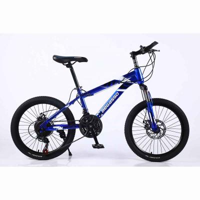 China Ride Factory Direct Running Bicycle Sports Bike Sepeda Mtb 20 Inch Kids Bike On Sale for sale