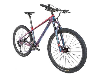 China ENV Techonoloty ENV Tech 27.5 29er SHlMANO XT/M8100-2*12 speed carbon bicicletas mountain bike for sale