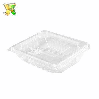 China Pla Disposable Frozen Food Packaging Plastic Large Food Boxes Used For Fruit for sale