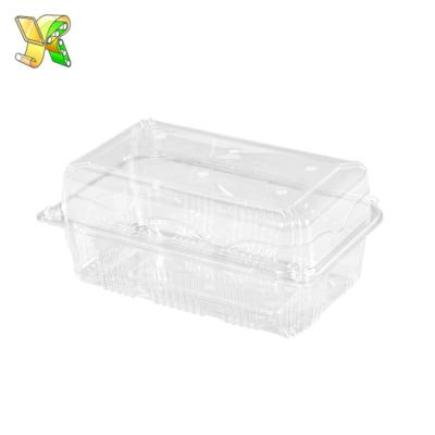 China PP Microwave Disposable Plastic Food Packaging Bento Box Plastic Food Box for sale