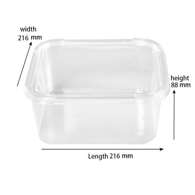 China Disposable clear square food/salad/sandwich/plastic container/fruit box with lid for sale