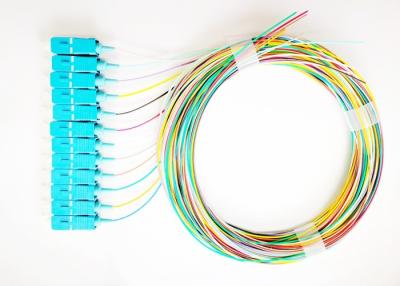 China SC UPC 12 Fiber Bunchy Pigtail With 12 Couplers For ODF FTTH Equipment for sale