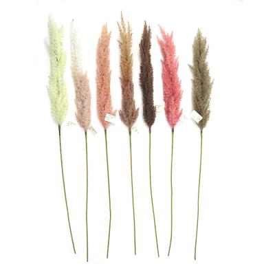 China Autumn Ornament Hot Selling Dried Flowers Dried Small Pampas Grass for Autumn Decoration for sale