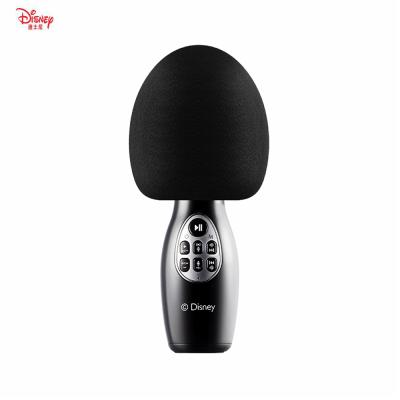 China 2022 New Arrived Handheld Microphone Disney CE-859S Audio Player Karaoke Wireless Microphone With Speaker for sale