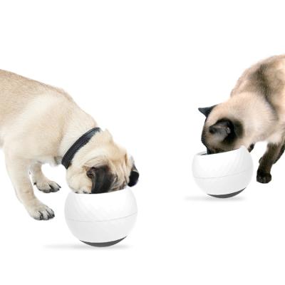 China Tumblr Viable Fun Slow Rider Around New Design Portable Plastic Cat Pet Dog Bowl Nordic Feeding Food for sale