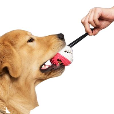 China Viable Hot Selling Dog Training Rope Ball Toy For Dogs Tpr Dog Toothbrush Chew Toys for sale