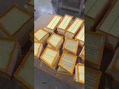 99.9% Truck Cabin Filter Petrol Fuel System Customized 5001844054