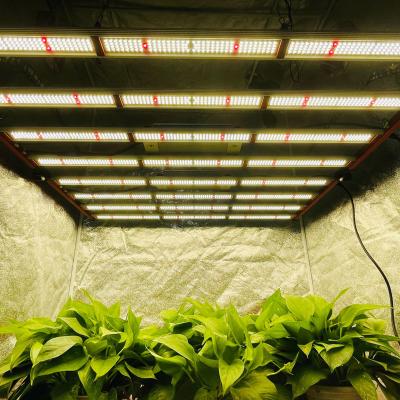 China Really Design 8 Bendable Bars PPFD Plant High Light 800w LED Grow Lamp For Indoor Plants PPE 2.9 umol/j for sale