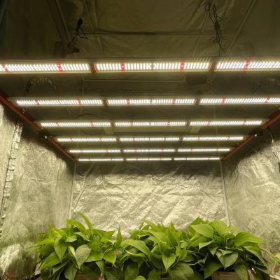 China Foldable Design 650w High Efficient Grow Light LED 6 Bars With lm301b Full Spectrum Sunlight Dimmable Plant Light for sale