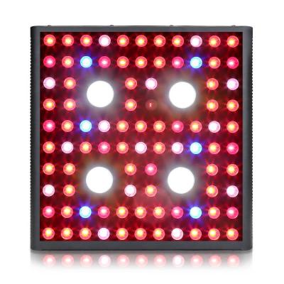 China HOT SALE AGLEX 2000W Brigelux COB Technology Super Power COB Epistar Canada LED Grow Light For 4x4 Ft Grow Tent for sale