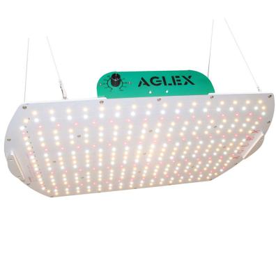 China New Arrival Dimmable 1000 2000 Factory Full Spectrum 3030 SMD LM301B LED Grow Lights Grow Light Board for sale