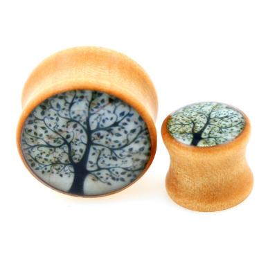 China Attractive Ear Studs High Quality High Quality Ear Expander Saddle Colors Original Wood Plug Ear Plug Ear Expander Model Cartilage for sale