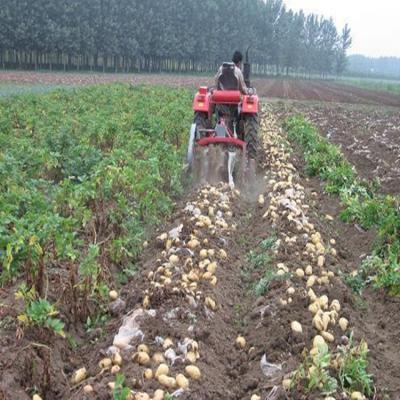 China High efficiency JUYOU taro harvesting machine garlic harvesting machine garlic harvesters for sale