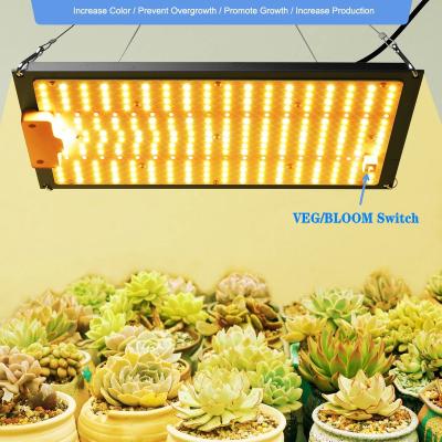 China Full Spectrum Led Grow Light Full Spectrum Samsung 1000W LED Grow Light For Indoor Plants for sale