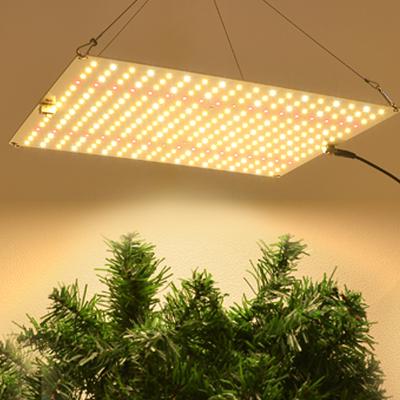 China Seed Starting 1200W Full Spectrum Samusng LED Grow Light Dimmable Grow Lamp Green Medical House Plant for sale