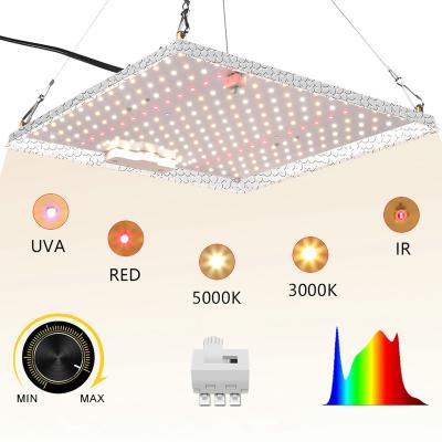 China Seed Starting LED To Grow Light 1000W 1200W Samsung Grow Light Full Spectrum Phyto Lamp For Indoor Plants Veg Flower Seeds for sale