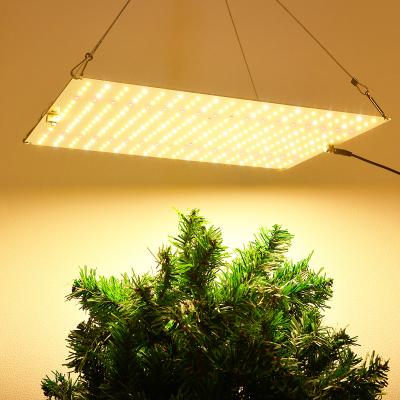 China Seed Starting 1500W Led To Grow Dimmable Samsung Full Spectrum Light Plant Grow LED for sale