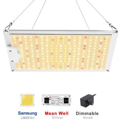 China Seed starting factory outlet EVQ Samsung panel lm301b/301h 1000w full spectrum deep red 660nm led grow light for indoor factory for sale