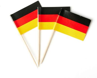 China Custom Printing Healthcare Institutes Party Decoration Wood Pick Flag Germany Foothpick Paper Flag for sale