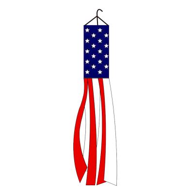 China High Quality White Star Trump Health Care Institutes 100% Polyester Background Wind Sock Flag Of America for sale