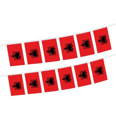 China High Quality 100% Polyester 14x21cm String 12pcs Flag Albania Bunting Flag Of Health Care Institutes for sale