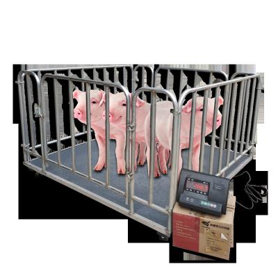 China 3T Carbon Steel Digital Livestock Floor Scales Pig Sheep Livestock Cheap Horse Animal Weighbridge Electronic Price Measuring Scale for sale