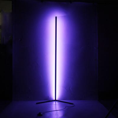 China Lighting Functions Internet Celebrity Bedroom RGB Standing Floor Lamp Living Room Decorative Corner Led Floor Lamp for sale