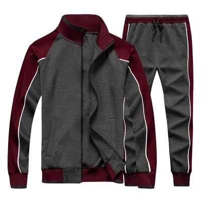 China Anti-wrinkle TZ49 2021 autumn and winter color blocking contrast color fashion cardigan zipper sports long sleeve single drawstring set for sale