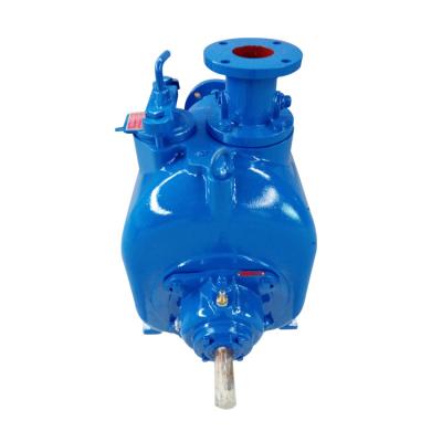 China Raw water intake the manufacturer of P series self-priming pumps for farmland irrigation is cheap for sale