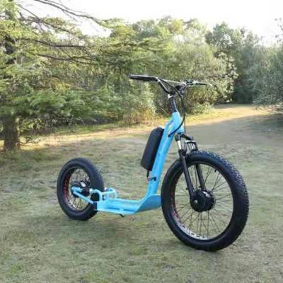 China Fashion Unisex Fat Sport CE Certificate Big 2 Wheel Tire Powered E-Bike E-Bike Electric Scooters E-Bike Electro Electric Bike for sale