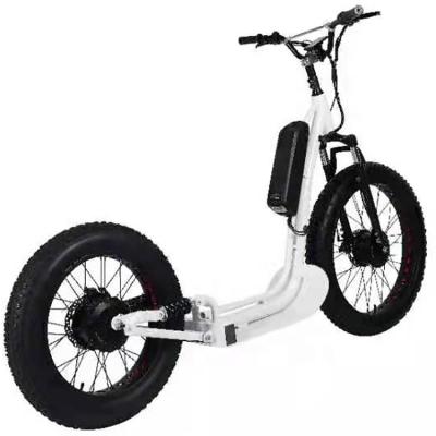 China Unisex Folding Step Through Electric Bicycle 20 Inch Fat Tire 750w Ebike 500w 48v Electric Bike 7 Speed for sale