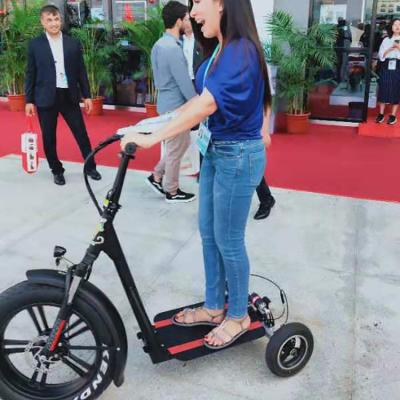 China Citycoco 3 Wheel Adult Tricycle Fat Tire Men Three Wheels Electric Scooter 1000W Bike Ebike for sale