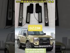 car door moulding with light for toyota prado fj250 lc250 2024