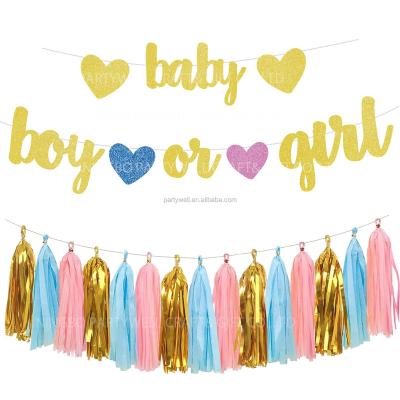 China Baby Shower Gender Reveal Party Gender Reveal Party Decorations Glitter Baby Letters and Boy or Girl Hearts Banner, Tissue Paper Tassels Garland for Baby Shower for sale