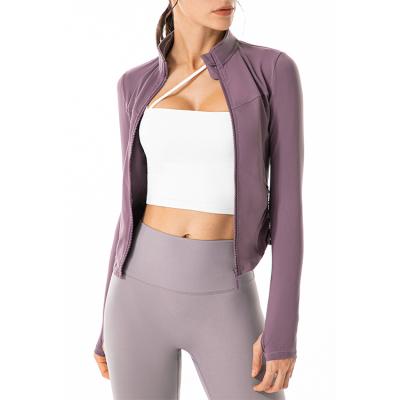 China Breathable Fitness Tops Slim Slim Yoga Wear Sports Jacket Long Sleeve Slim Slim Slimming Slimming Stand Collar Zipper Women's Comic for sale