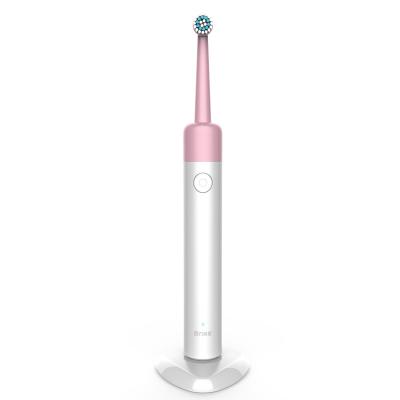 China Powerful Clean Chinese Factory Direct Strong Cleaning Without Damage Teeth White Electric Toothbrush Prices Optimal Appearance for sale