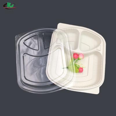 China Biodegradable Eco Friendly Disposable Cornstarch Take Away Airline Bento Box Food Container Plastic for sale