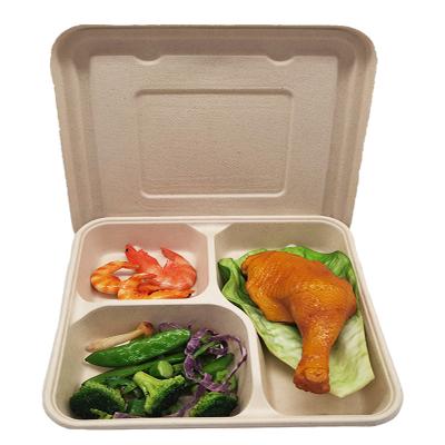 China Biodegradable 3 4 Compartment Biodegradable Food Container Sugarcane Bagasse Lunch Box With Lid for sale