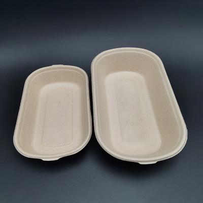 China Disposable New Products Microwave Sugarcane Bagasse Takeout Food Containers for sale