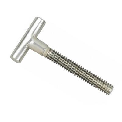 China OEM DIN261 M8 M10 Stainless Steel SS304 A2 T Head Common Construction Bolt For Solar Mounting for sale