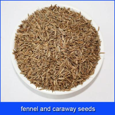 China No stain fennel and cumin seeds for sale