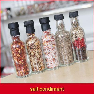 China Tasty Gourmet Salt for sale