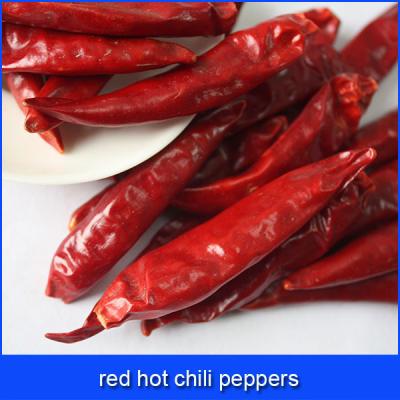 China No Spot Red Hot Chili Peppers for sale