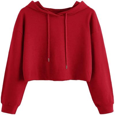 China High Quality Anti-wrinkle Women's Gym Hip Hop Style Drawstring Crop Hoodie Durable Women's Hoodies and Sweatshirts for sale