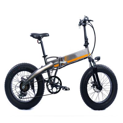 China Standard Electric Bike 20