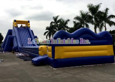 China Multi Color Hippos Water Slide With Protective Coating Reduce Scratches for sale