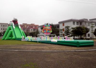 China Shark Giant Inflatable Water Slide Commercial PVC Tarpaulin Certificated for sale