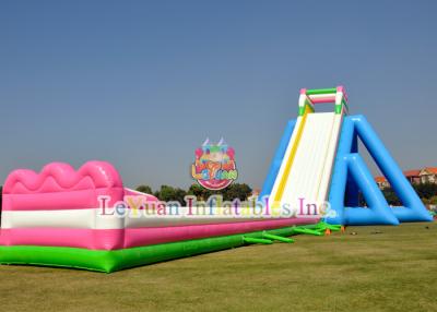 China Diapositiva inflable larga de la playa para el partido/el parque de alquiler del negocio/del agua en venta